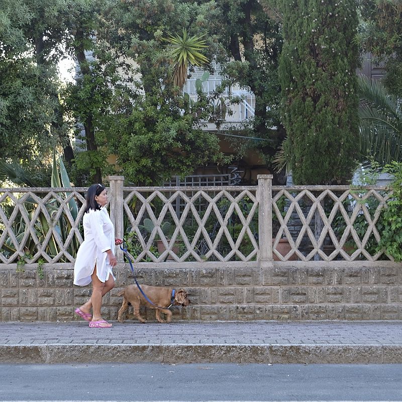 Walking with my dog (1).JPG